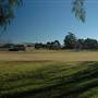 Bega