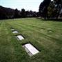 Albury