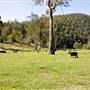 Armidale to Kempsey Road