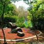 Japanese Garden - Auburn Botanic Gardens