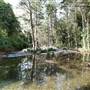 Bellinger Valley