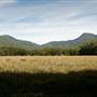 Bellinger Valley