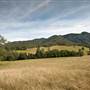 Bellinger Valley