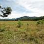 Bellinger Valley