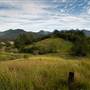 Bellinger Valley