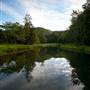 Bellinger Valley