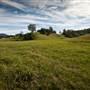 Bellinger Valley