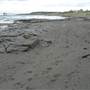 Black Sand Beach, Bass Point Reserve & Shell Cove