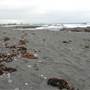 Black Sand Beach, Bass Point Reserve & Shell Cove
