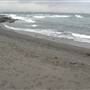 Black Sand Beach, Bass Point Reserve & Shell Cove
