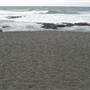 Black Sand Beach, Bass Point Reserve & Shell Cove