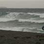 Black Sand Beach, Bass Point Reserve & Shell Cove