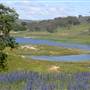 Blayney Area