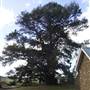 Breadalbane