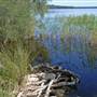 Northern Broadwater Picnic Area