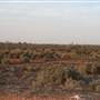 Broken Hill Roads