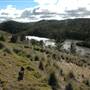 Captains Flat Dam