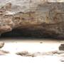 Caves Beach