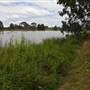 Cecil Hoskins Nature Reserve Moss Vale