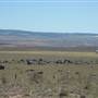 Dalgety/Cooma