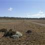 Dalgety/Cooma