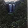 Dangar Falls and Cascades near Dorrigo