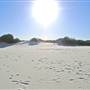 Dark Point Dunes