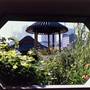 Chinese Garden of Friendship - Darling Harbour