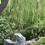 Chinese Garden of Friendship - Darling Harbour