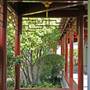 Chinese Garden of Friendship - Darling Harbour
