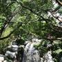 Chinese Garden of Friendship - Darling Harbour