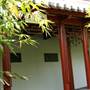 Chinese Garden of Friendship - Darling Harbour