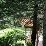 Chinese Garden of Friendship - Darling Harbour