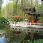 Chinese Garden of Friendship - Darling Harbour