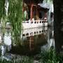 Chinese Garden of Friendship - Darling Harbour