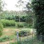 Bamboo Wholesale