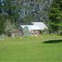 Davistown