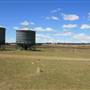 Deeargee Woolshed