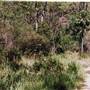 Deep Creek Reserve