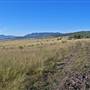 Denman Area