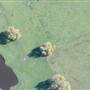 Dorrigo - Aerial Shots