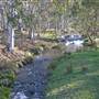 Dorrigo - General