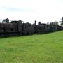 Dorrigo Steam Railway & Museum (Non-Profit Collection)