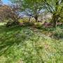 Lady Fairfax Gardens
