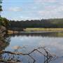 Lake Yarrunga