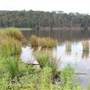 Lake Yarrunga