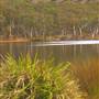 Dunns Swamp