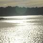 Dunns Swamp