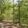 Lane Cove National Park
