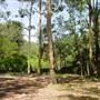 Lane Cove National Park